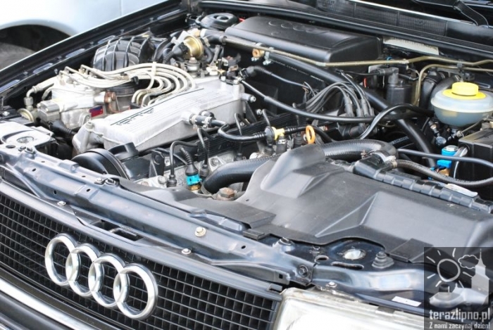 Udany początek sezonu! - fotoreportaż