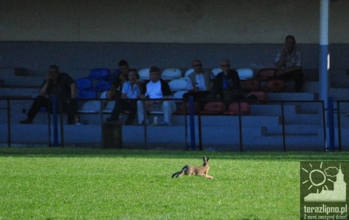 W pogoni za Liderem - fotoreportaż