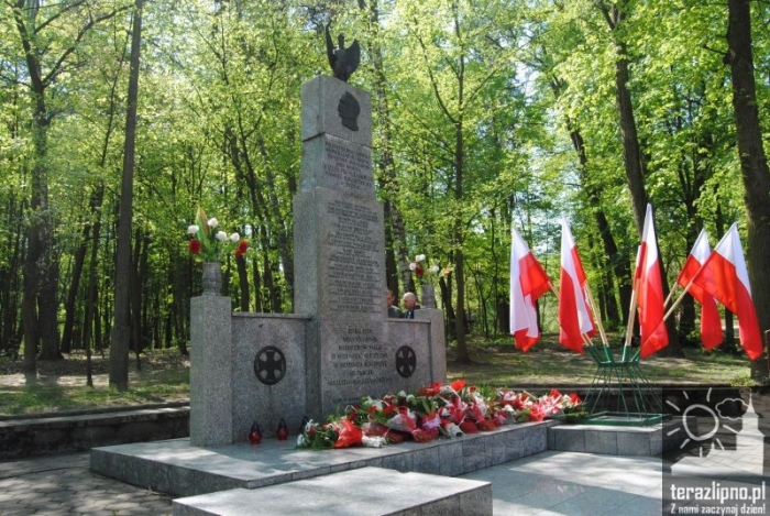 Konstytucja 3 maja - fotoreportaż