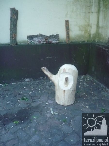 Wystawa poplenerowa w MCK  - fotoreportaż