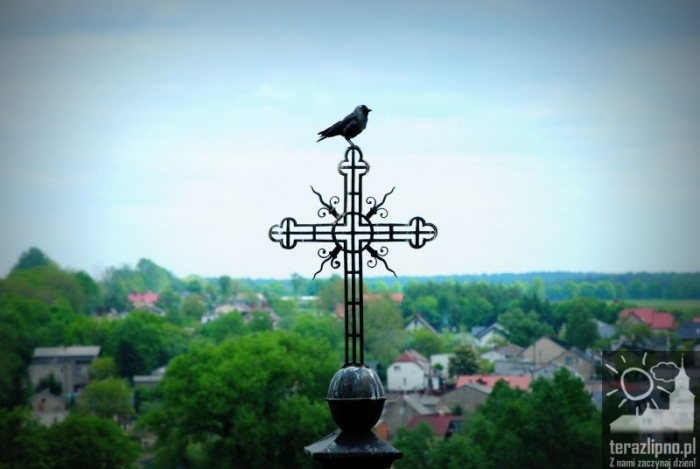 Miasto z wieży kościoła - fotoreportaż