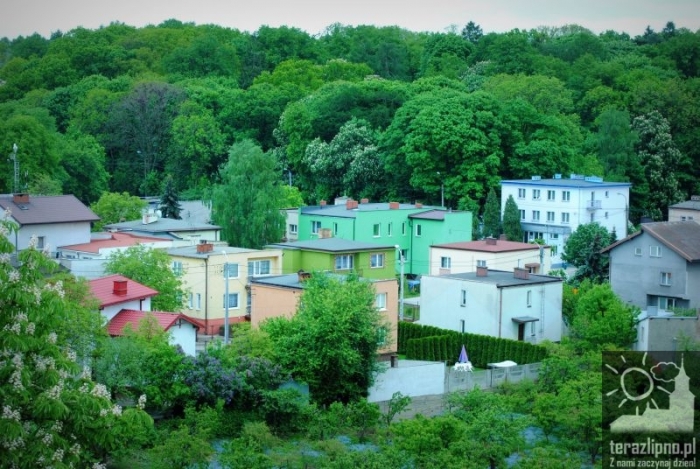Miasto z wieży kościoła - fotoreportaż