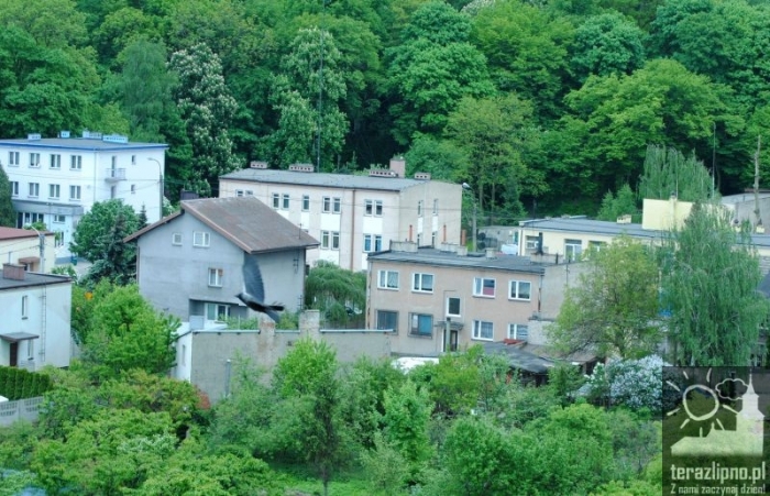 Miasto z wieży kościoła - fotoreportaż