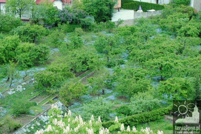 Miasto z wieży kościoła - fotoreportaż