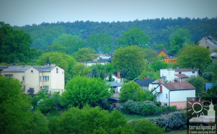 Miasto z wieży kościoła - fotoreportaż