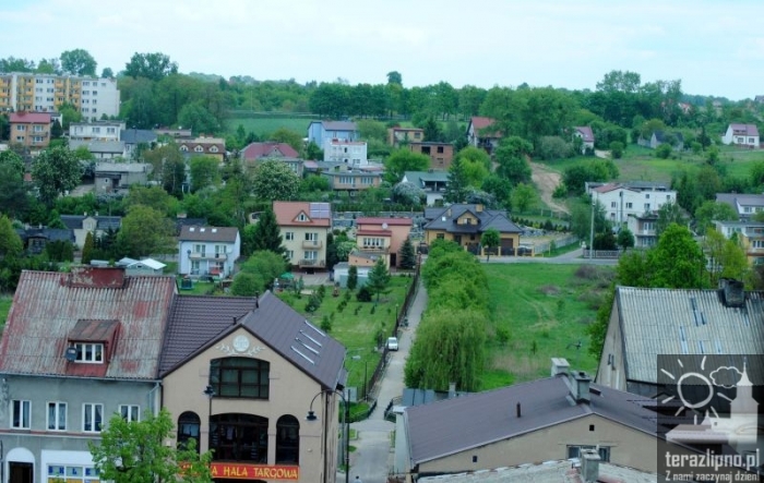 Miasto z wieży kościoła - fotoreportaż