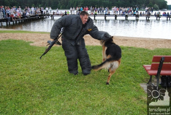 Wilkowyjce w Skępem - fotoreportaż