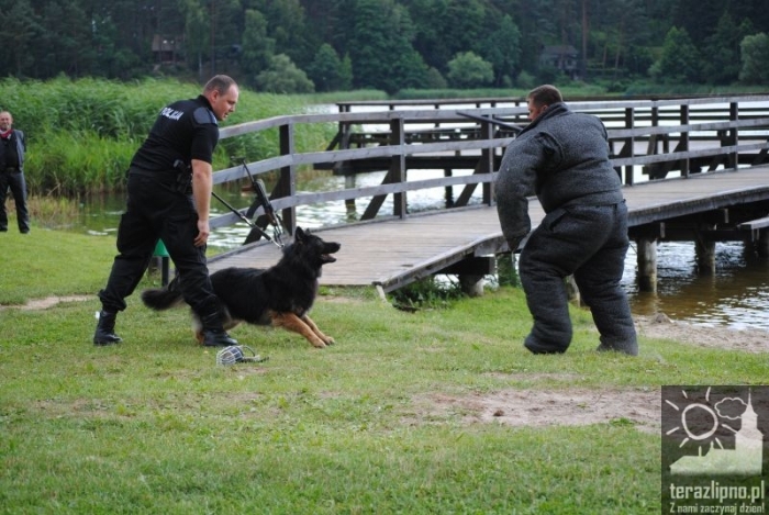 Wilkowyjce w Skępem - fotoreportaż