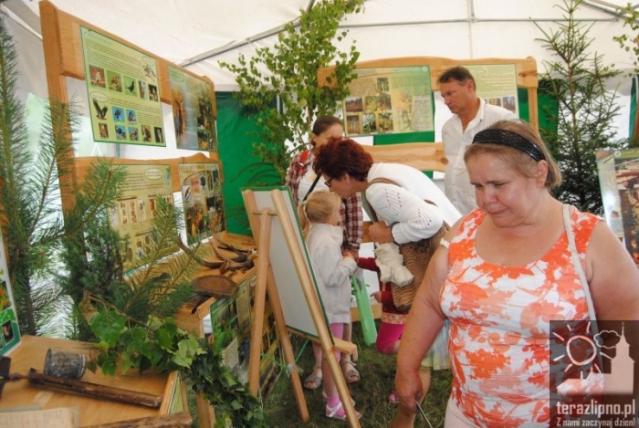 Wilkowyjce w Skępem - fotoreportaż