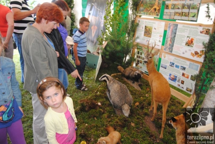 Wilkowyjce w Skępem - fotoreportaż