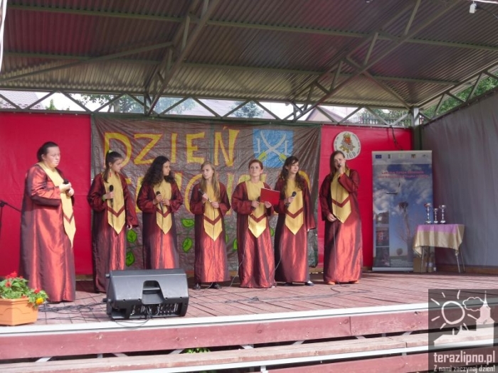 Dni Tłuchowa 2012 - fotoreportaż