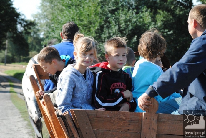 Popowo: dzieci oczyściły las - fotoreportaż