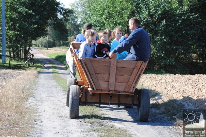 Popowo: dzieci oczyściły las - fotoreportaż