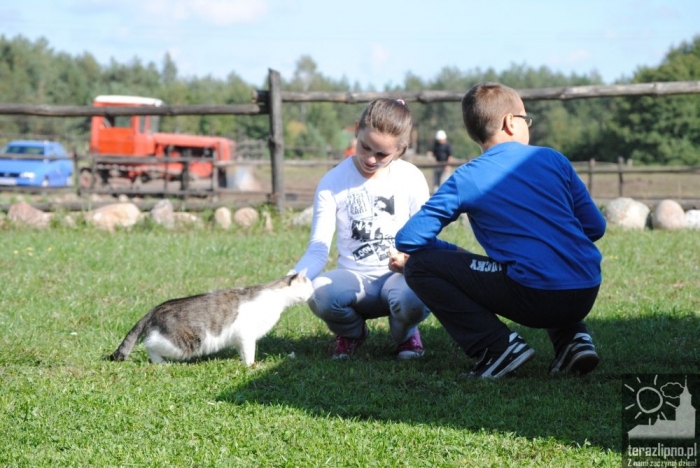 Popowo: dzieci oczyściły las - fotoreportaż