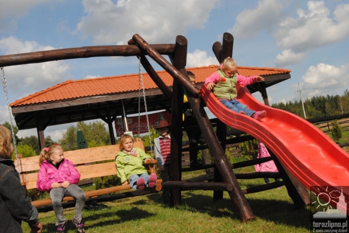 Popowo: dzieci oczyściły las - fotoreportaż