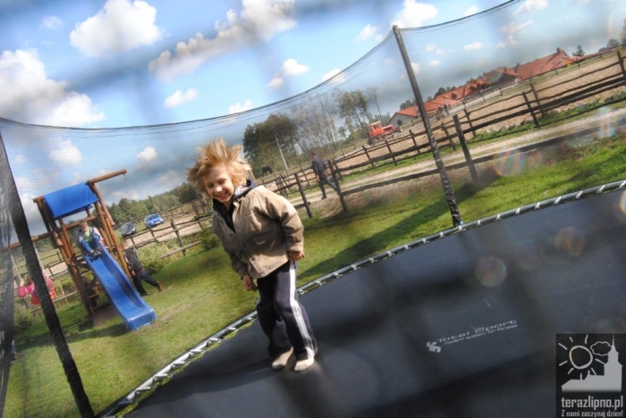 Popowo: dzieci oczyściły las - fotoreportaż