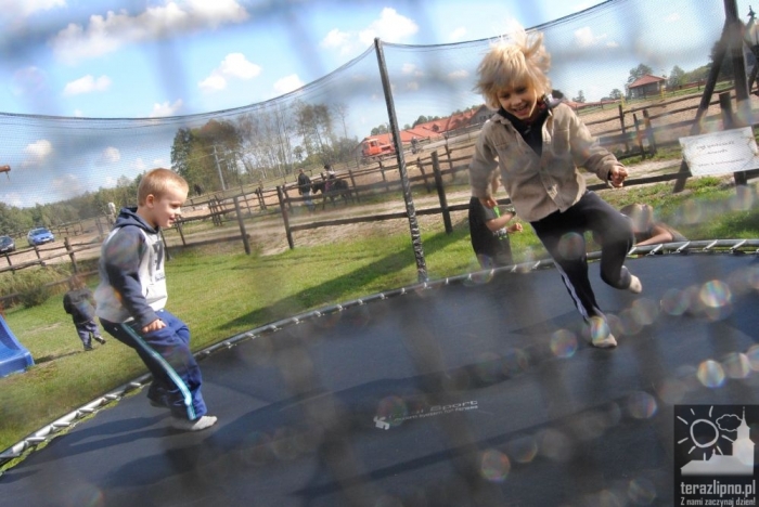 Popowo: dzieci oczyściły las - fotoreportaż