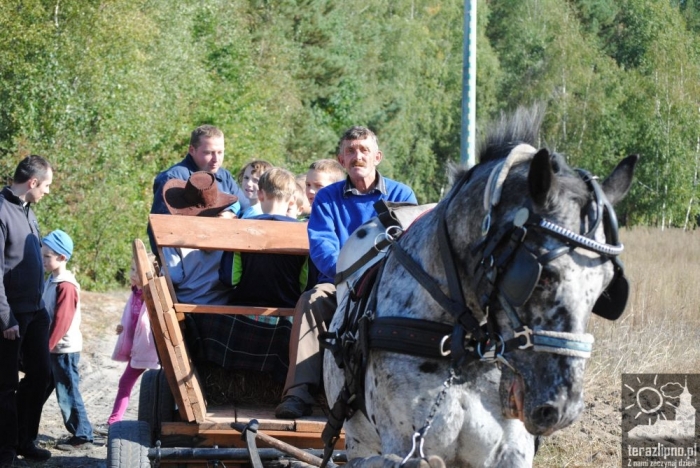 Popowo: dzieci oczyściły las - fotoreportaż