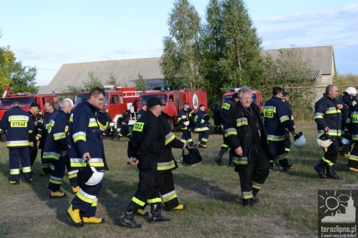 Pożar lasu i poważny wypadek w Brzeźnie! - fotoreportaż