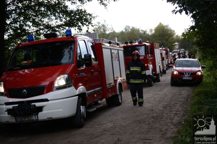 Pożar lasu i poważny wypadek w Brzeźnie! - fotoreportaż