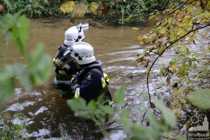 Pożar lasu i poważny wypadek w Brzeźnie! - fotoreportaż