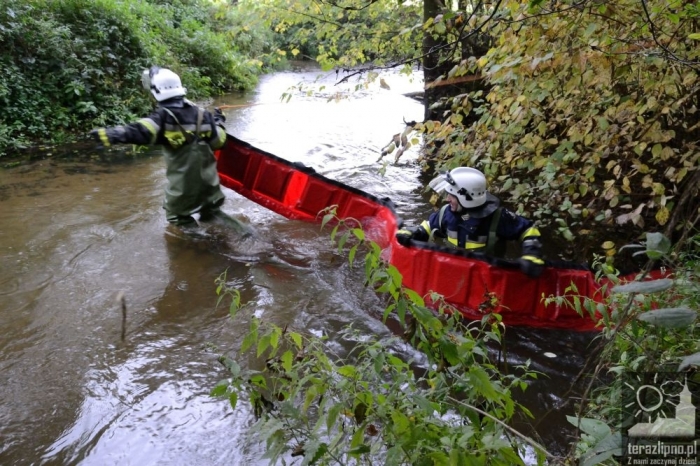 Pożar lasu i poważny wypadek w Brzeźnie! - fotoreportaż
