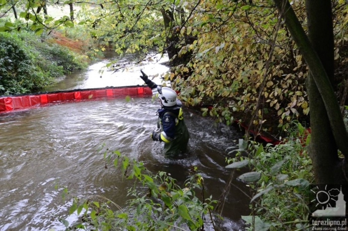Pożar lasu i poważny wypadek w Brzeźnie! - fotoreportaż