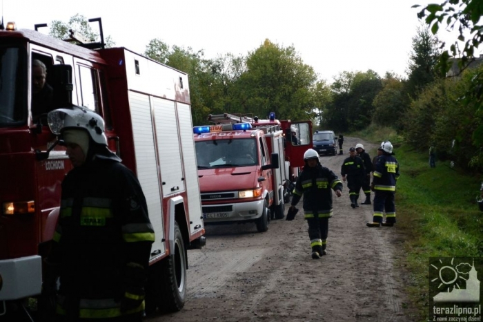 Pożar lasu i poważny wypadek w Brzeźnie! - fotoreportaż