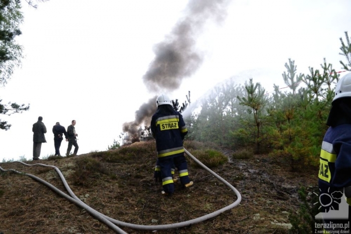 Pożar lasu i poważny wypadek w Brzeźnie! - fotoreportaż