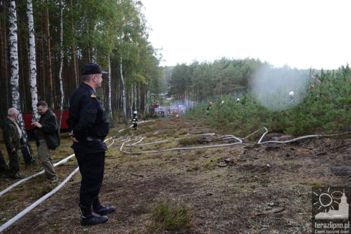 Pożar lasu i poważny wypadek w Brzeźnie! - fotoreportaż