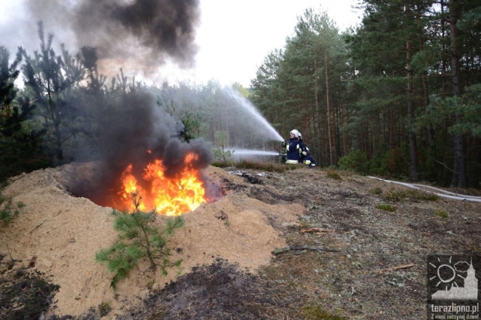 Pożar lasu i poważny wypadek w Brzeźnie! - fotoreportaż