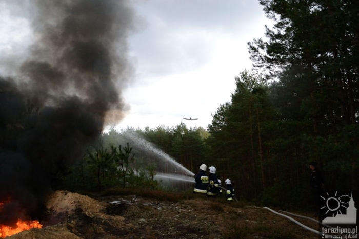 Pożar lasu i poważny wypadek w Brzeźnie! - fotoreportaż