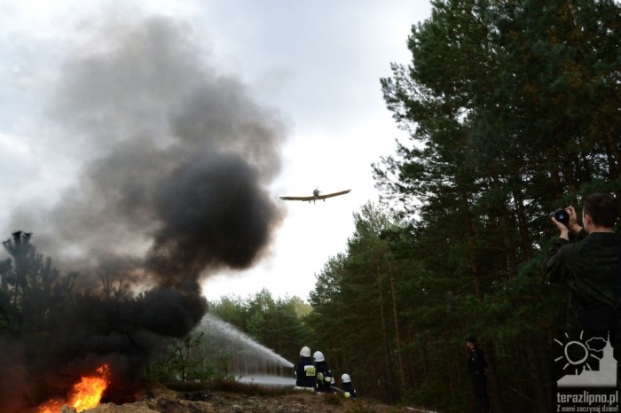 Pożar lasu i poważny wypadek w Brzeźnie! - fotoreportaż