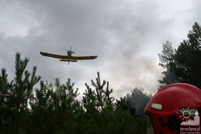 Pożar lasu i poważny wypadek w Brzeźnie! - fotoreportaż