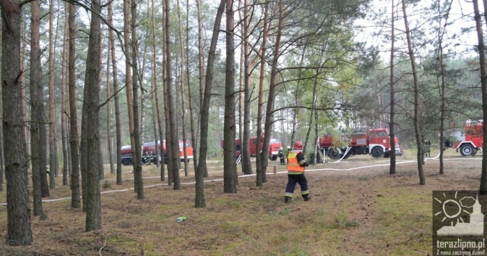 Pożar lasu i poważny wypadek w Brzeźnie! - fotoreportaż