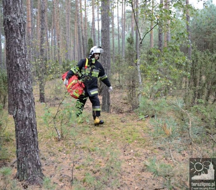 Pożar lasu i poważny wypadek w Brzeźnie! - fotoreportaż