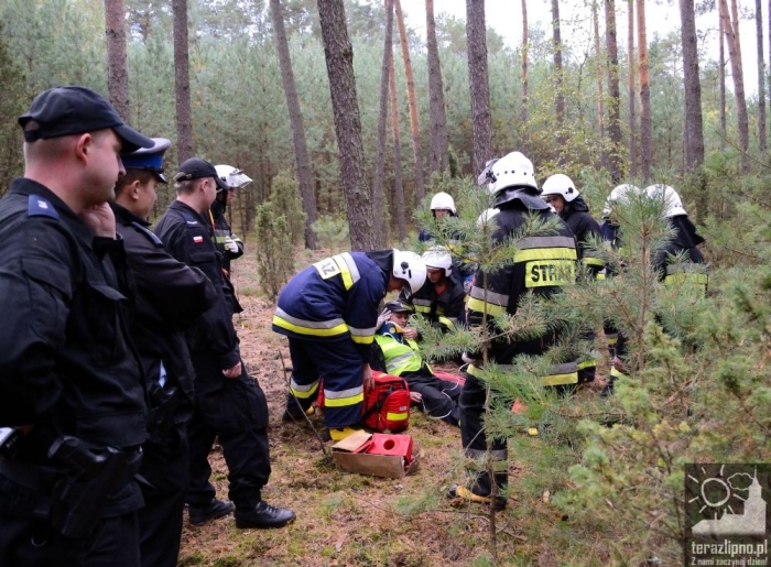 Pożar lasu i poważny wypadek w Brzeźnie! - fotoreportaż