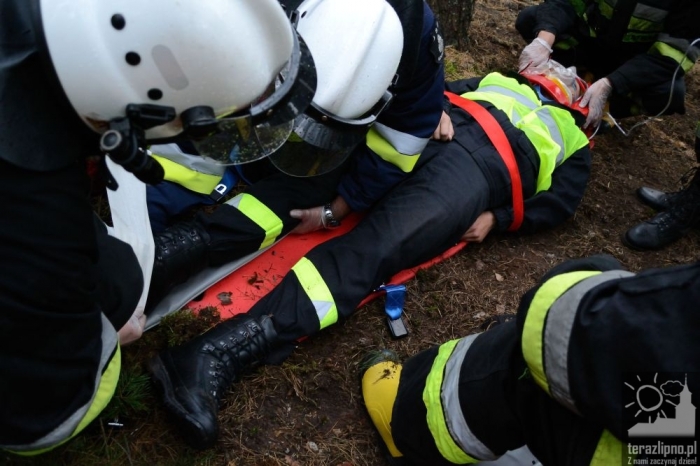 Pożar lasu i poważny wypadek w Brzeźnie! - fotoreportaż