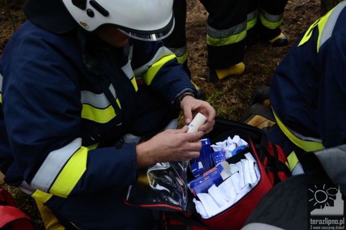 Pożar lasu i poważny wypadek w Brzeźnie! - fotoreportaż