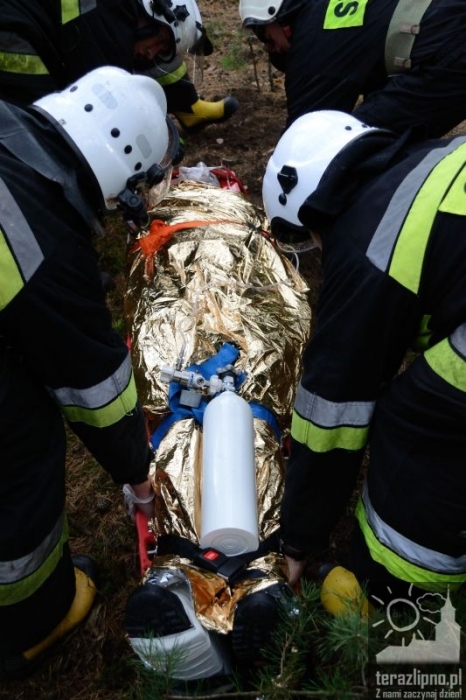 Pożar lasu i poważny wypadek w Brzeźnie! - fotoreportaż
