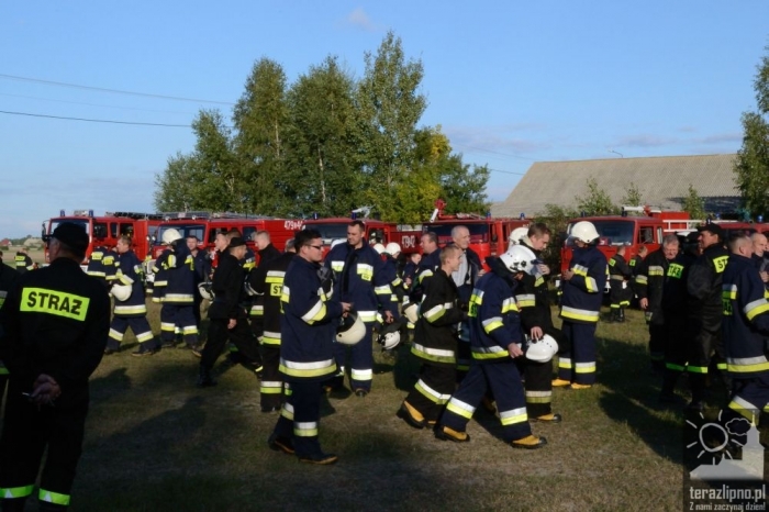 Pożar lasu i poważny wypadek w Brzeźnie! - fotoreportaż