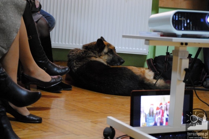 Chętnie niosą pomoc innym - fotoreportaż