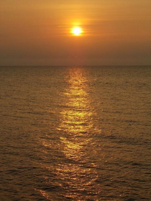 Zwiedzili Polskę i napisali książkę! - fotoreportaż