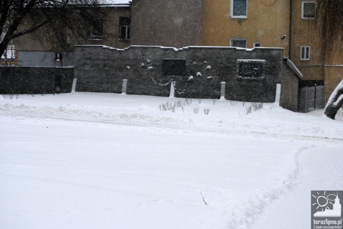 Zima atakuje! - fotoreportaż