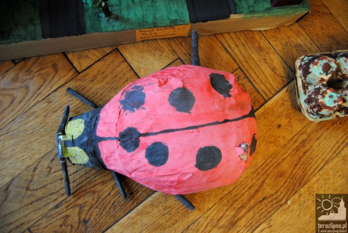 Zagłosuj na najlepsze prace! - fotoreportaż