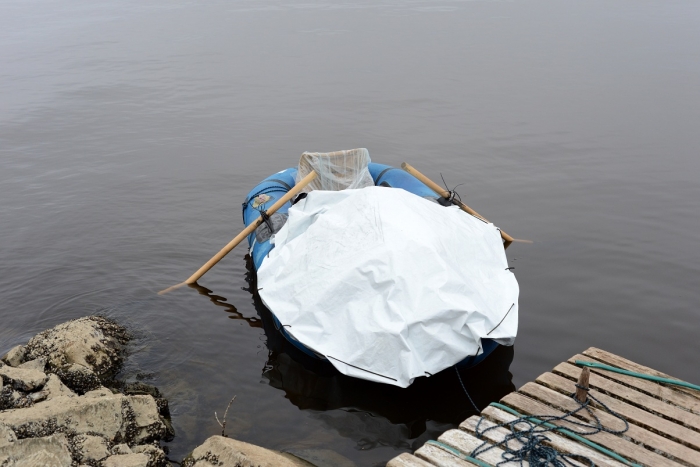 Ryba na Wiśle - fotoreportaż