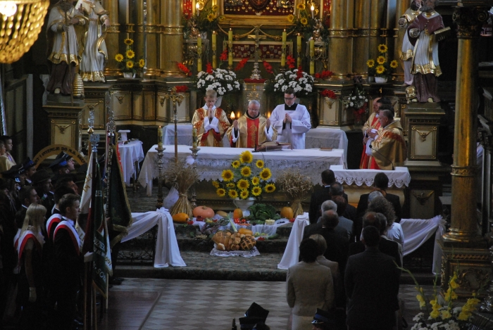 Powiatowe Dożynki 2013 - fotoreportaż