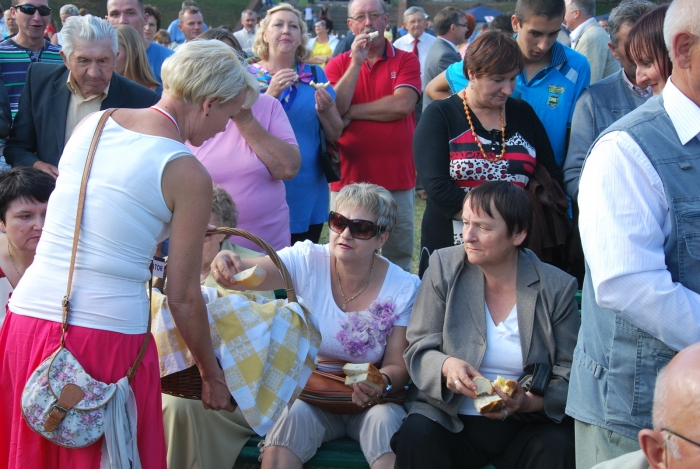 Powiatowe Dożynki 2013 - fotoreportaż