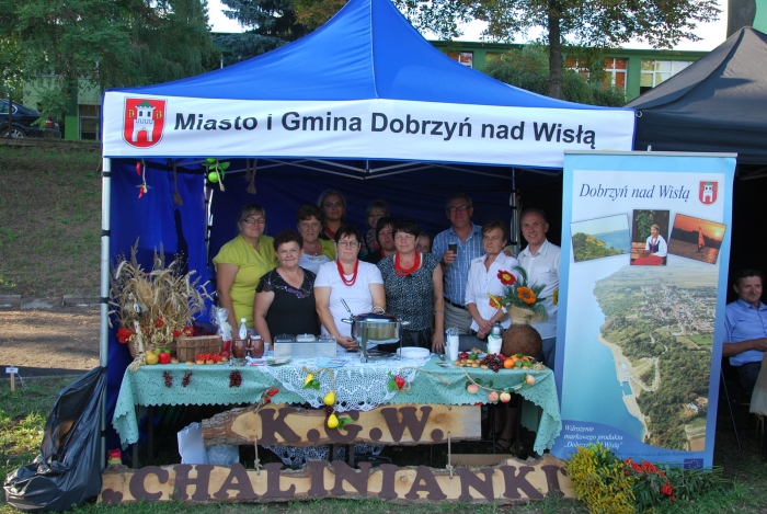 Powiatowe Dożynki 2013 - fotoreportaż