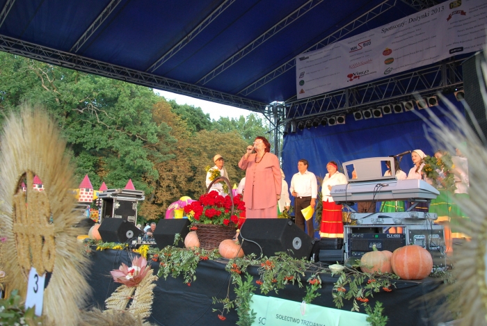 Powiatowe Dożynki 2013 - fotoreportaż